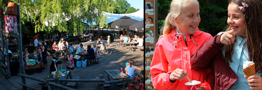 Grillplass og jenter som spiser is